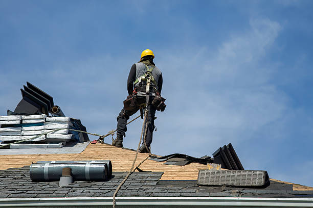 Professional Roof Replacement technician working in Miamitown, OH